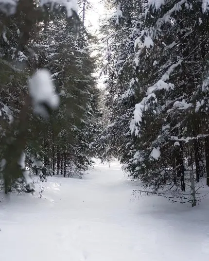  تصویر زمینه جاده برفی زیبا برای گوشی