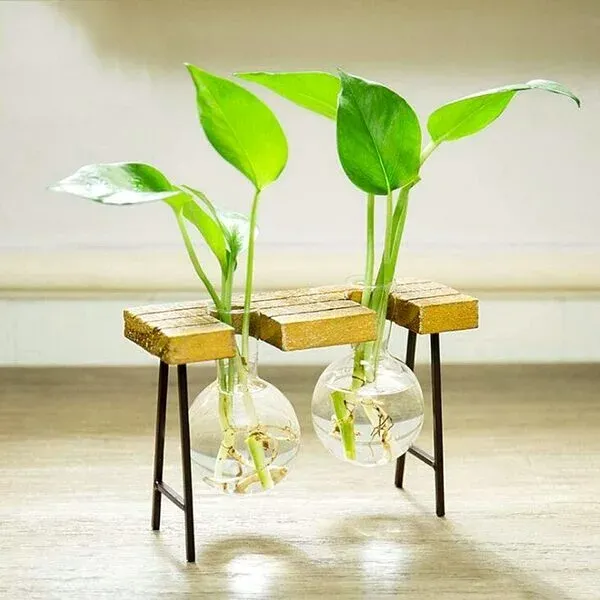  تصویر زمینه گل با گلدان شیشه ای