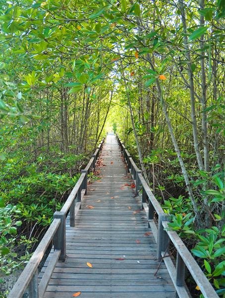  تصویر زمینه نیمکت عاشقانه در پارک