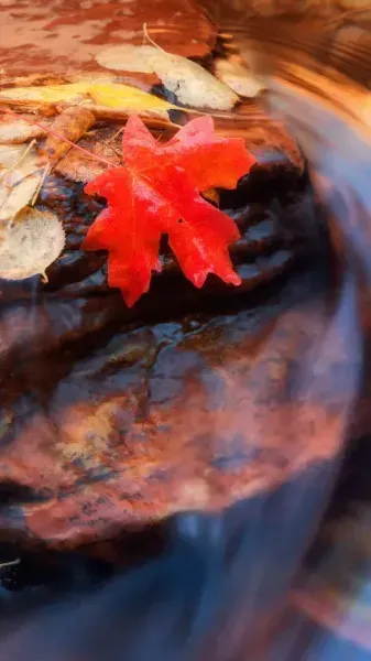  تصویر زمینه باکلاس برای گوشی های گران قیمت