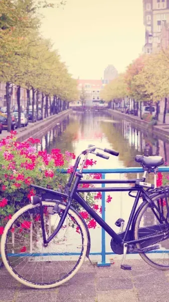  تصویر زمینه باکلاس برای گوشی های گران قیمت