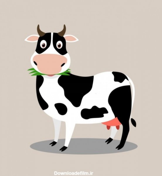 عکس گاو خنده دار