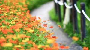  عکس بک گراند کامپیوتر