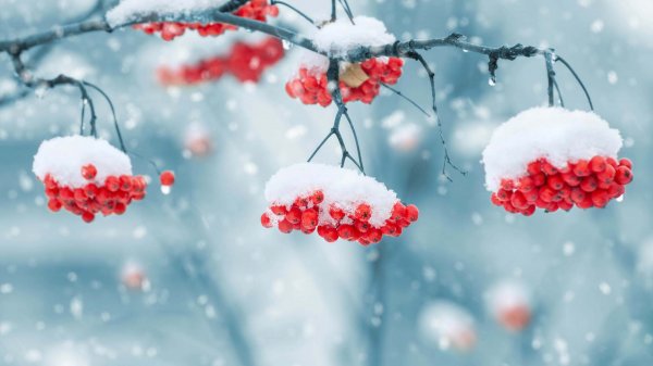  عکس پاییزی با کیفیت فول اچ دی