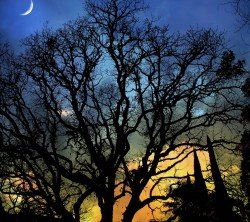  عکس کیفیت فول اچ دی