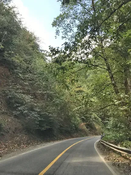  عکس مراتع سرسبز شمال ایران