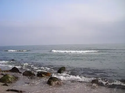  عکس مراتع سرسبز شمال ایران