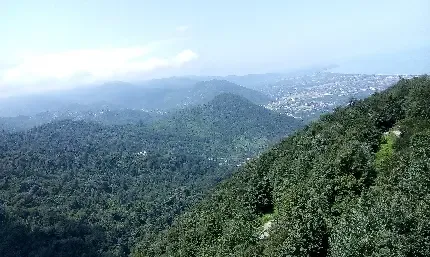  عکس مراتع سرسبز شمال ایران