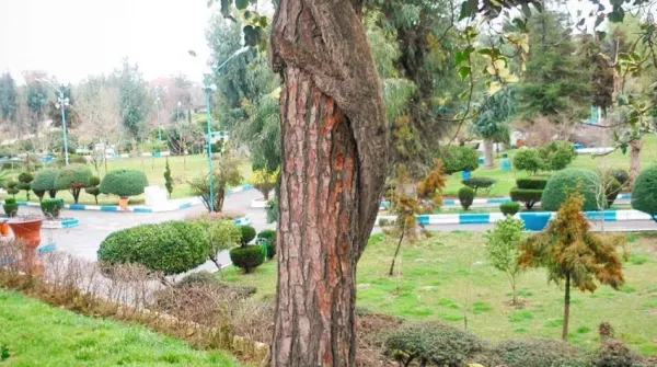  تصویر زمینه شمال ایران در زمستان