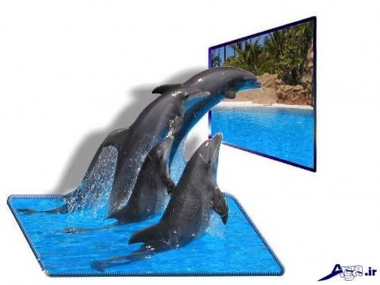 عکس سه بعدی زیبا