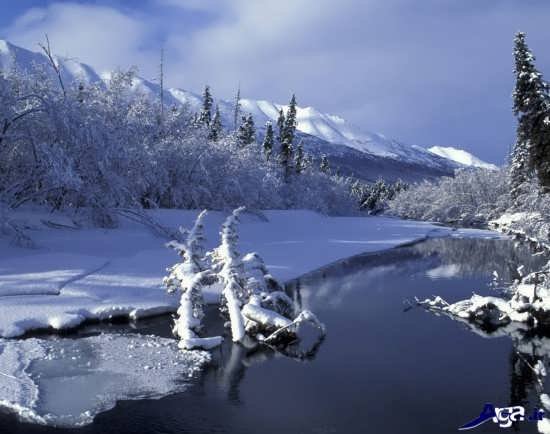  عکس سه بعدی زیبا