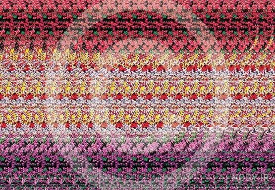  تصاویر سه بعدی برجسته