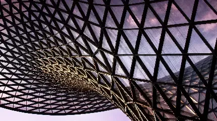  تصاویر سه بعدی عاشقانه