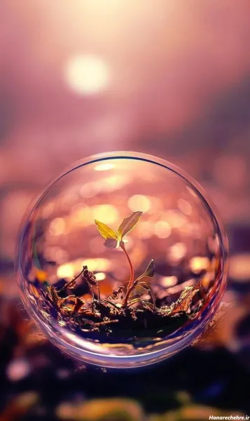  عکس پروفایل سه بعدی زیبا و ساده