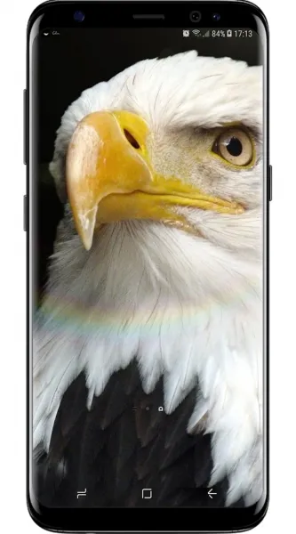  عکس پروفایل سه بعدی زیبا و ساده