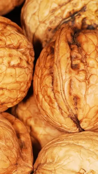  عکس تصویر زمینه مینیون های کیوت و بامزه