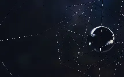  عکس سه بعدی سیاه و سفید با کیفیت HD