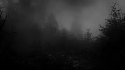  تصویر زمینه جنگل ترسناک