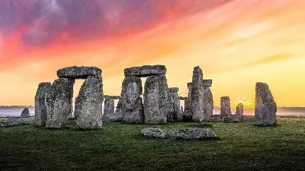  عکس تصویر زمینه مزارع برنج در کشور چین