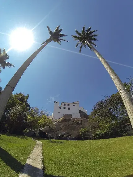  عکس تصویر زمینه مزارع برنج در کشور چین