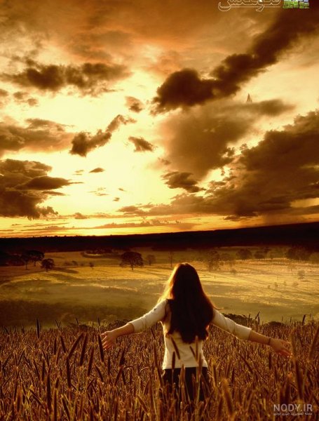  عکس گندم زار عاشقانه