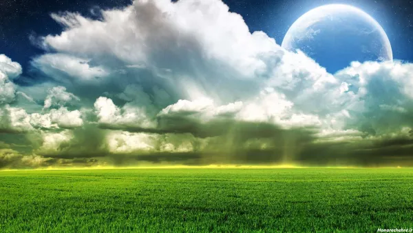  عکس گندم برای پروفایل