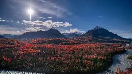  عکس ساحل کویری ایسلند برای زمینه لپ تاپ