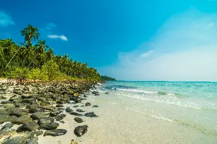  عکس ساحل کویری ایسلند برای زمینه لپ تاپ