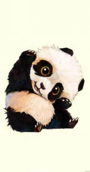 عکس سیاه و سفید خرس کارتونی پاندا