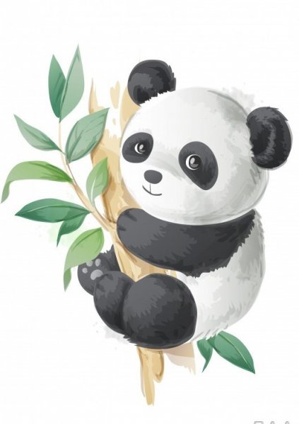  عکس سیاه و سفید خرس کارتونی پاندا