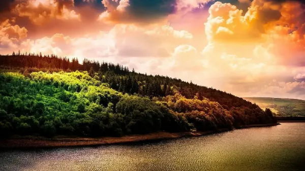  عکس پروفایل با کیفیت فول اچ دی