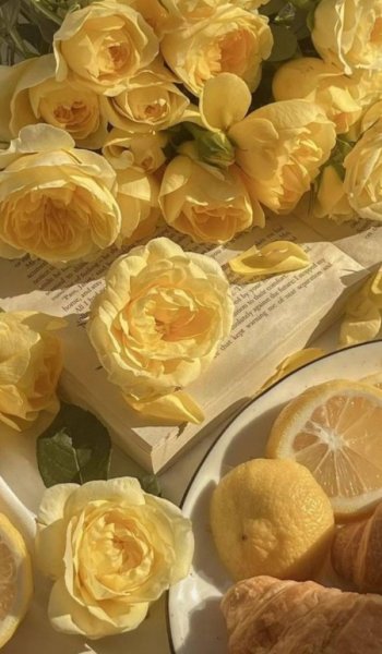  عکس بک گراند لیمویی و جذاب برای موبایل