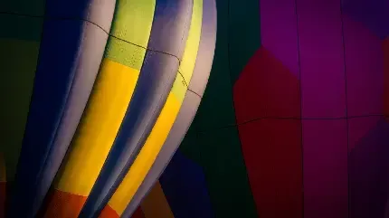  عکس زرد کیوت