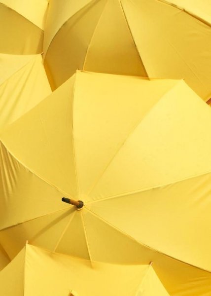  عکس زرد برای پروفایل