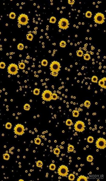  عکس پس زمینه زرد دخترانه