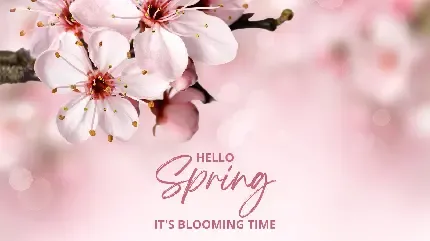  عکس نوار کاست قدیمی