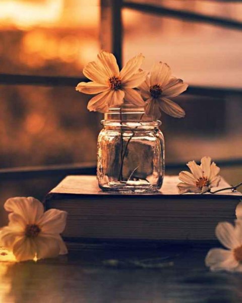  عکس زمینه جذاب برای گوشی