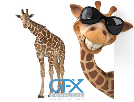  عکس زرافه بامزه برای موبایل