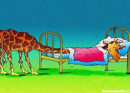  عکس زرافه خنده دار