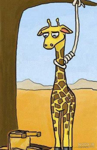  عکس زرافه کیوت