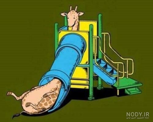  عکس زرافه کیوت