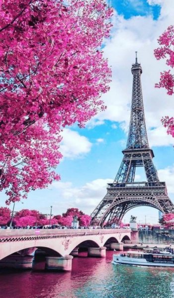 عکس پاریس برای تصویر زمینه