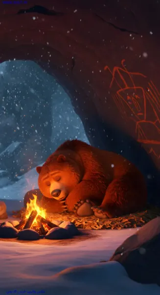  عکس خرس کارتونی برای تصویر زمینه