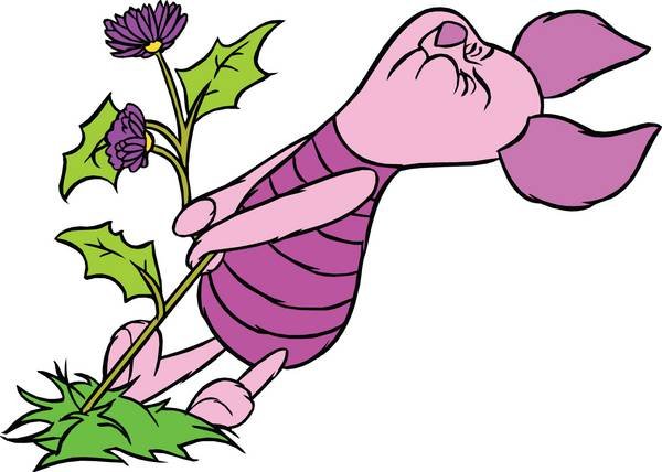  عکس پو و دوستان