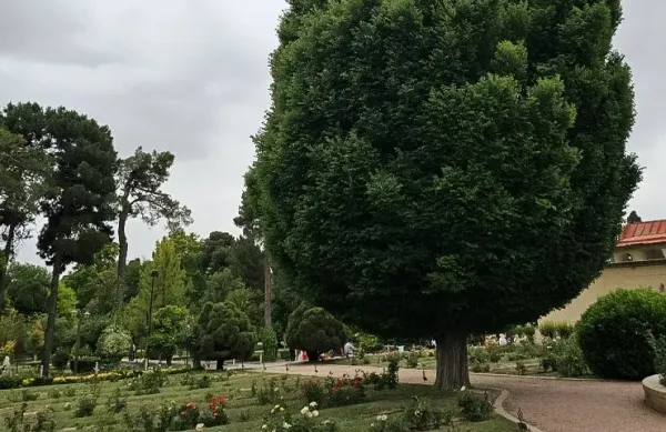  عکس باغ ارم شیراز با کیفیت