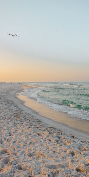  عکس با کیفیت ساحل دریا