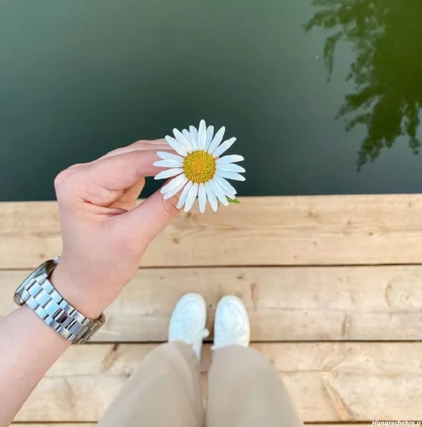  عکس دریا و گل برای پروفایل