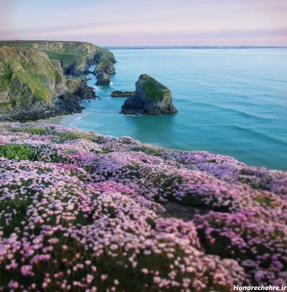  عکس دریا و گل برای پروفایل