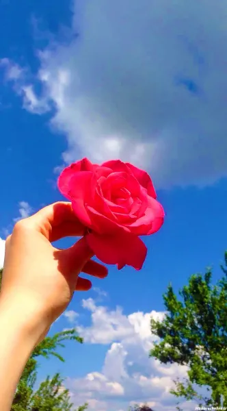  عکس دریا و گل برای پروفایل