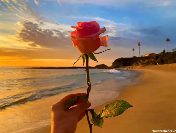  عکس دریا و گل برای پروفایل